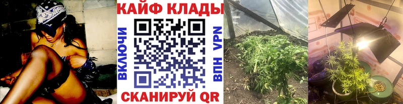 Купить закладку Метамфетамин  СК  Мефедрон  Гашиш  Амфетамин  Конопля  Кодеин  COCAIN  Фрязино