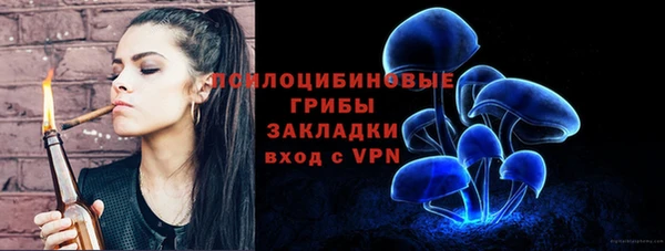 герыч Болотное