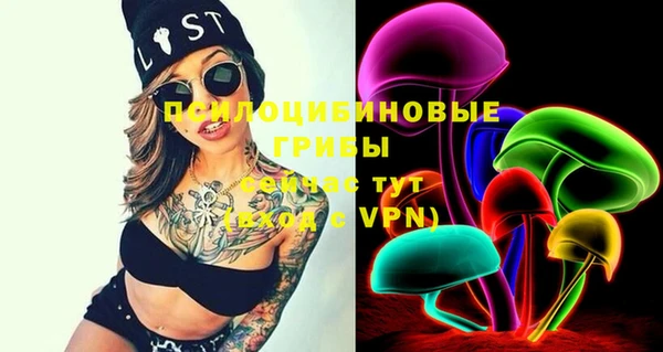 герыч Болотное